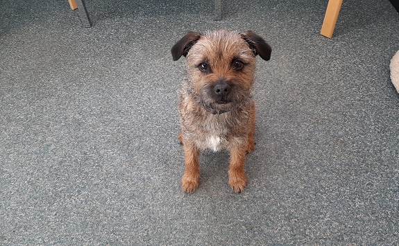Sammie sitting in an office